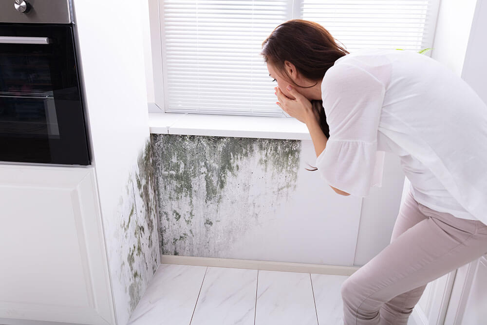 mold-allergy-symptoms-roberts-environmental-corp