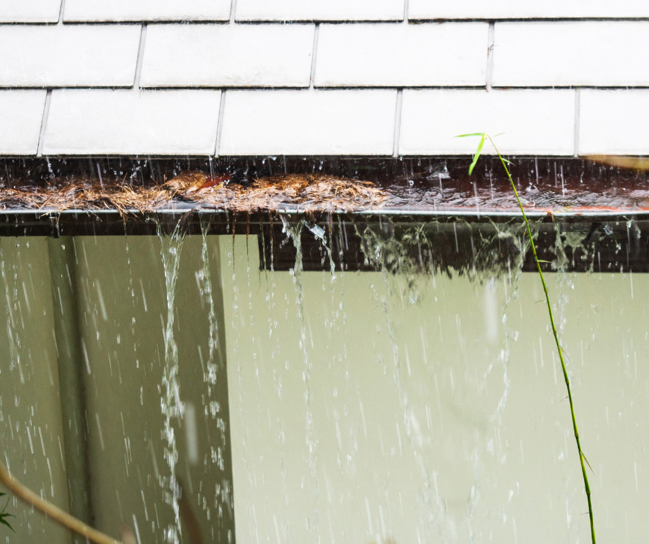 Rain damage creating water damage and mold inside residential property. clogged gutters allowed water to intrude home creating water damage and mold.