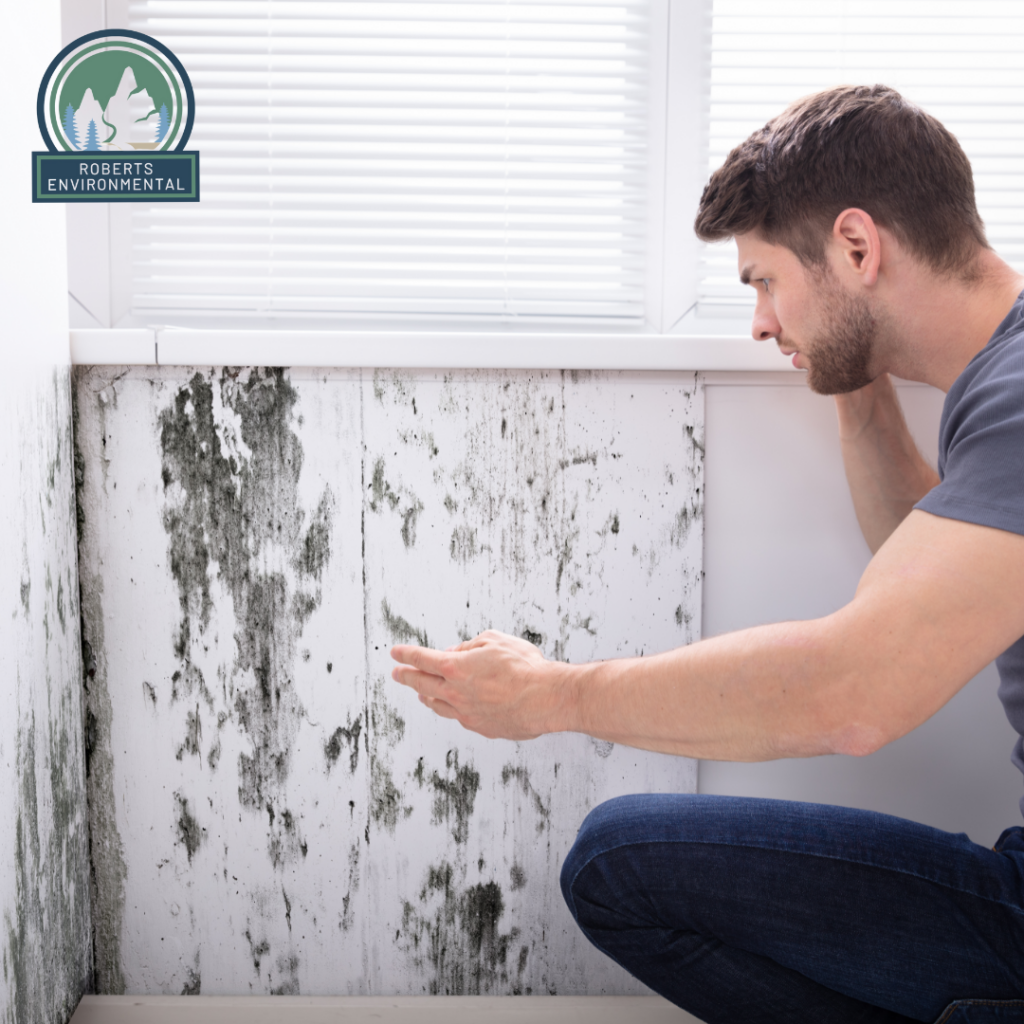 mold, asbestos, testing for mold, testing for asbestos, homeowner