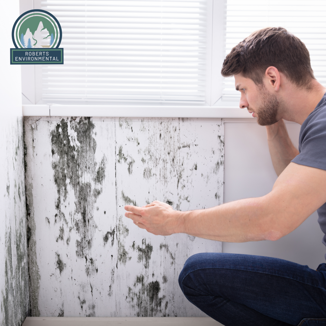 Top Signs You Need a Mold Inspection in Huntington Homes - Roberts ...