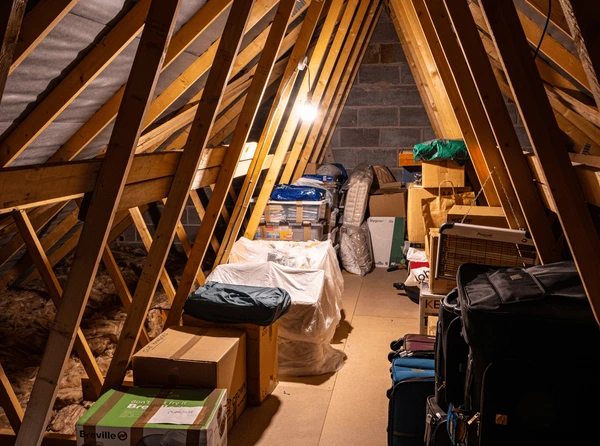 attic, attic storage, mold in attic