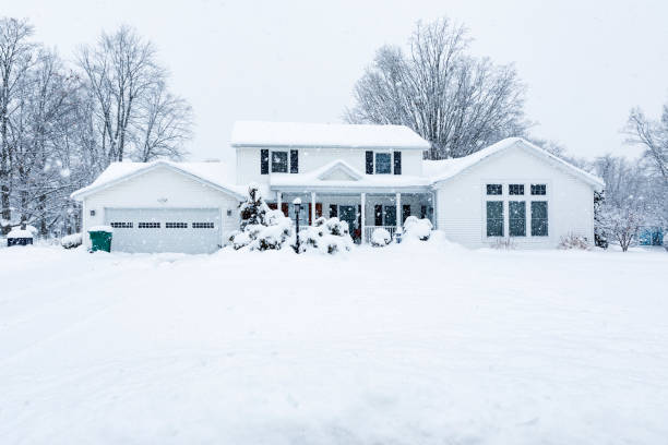 winter storm, storm, mold growth after storm