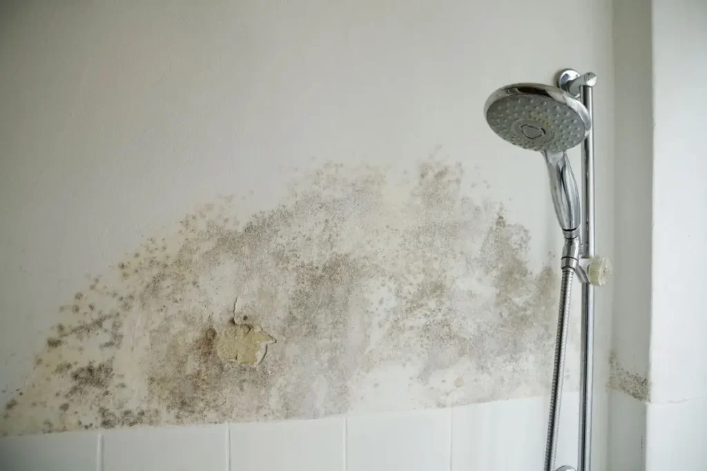 AdobeStock_142413712-min mold, bathroom mold