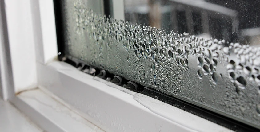 Humidity_Blog humidity, mold and humidity