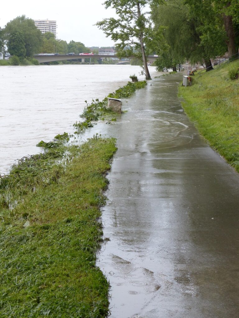 flood, danube, ulm, rainy weather, cloudy, rain, wet, precipitation, nature, flooding, water, water level, peak, flow, riverside, catastrophe, flood disaster, storm, force of nature, civil protection, flood of the century, climate change, city, houses, locality