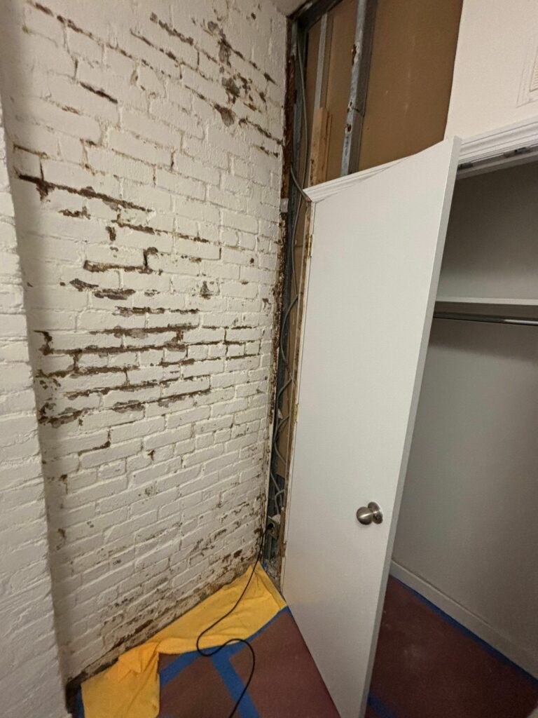 mold, home with mold, ignoring mold damage