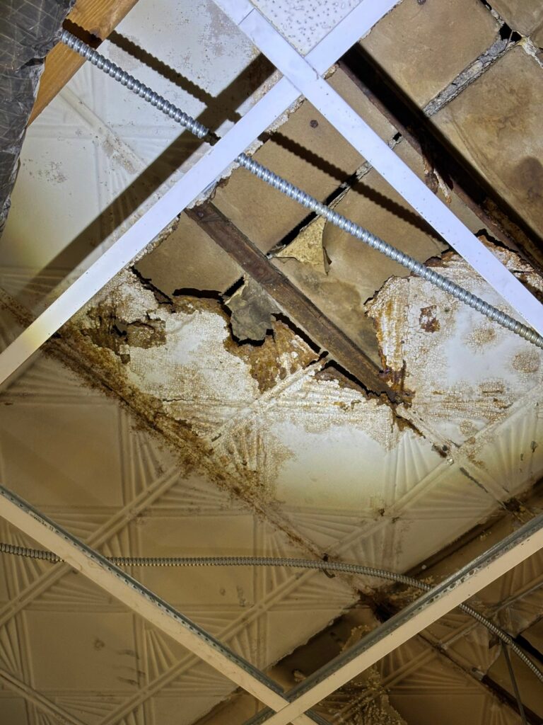 ceiling mold