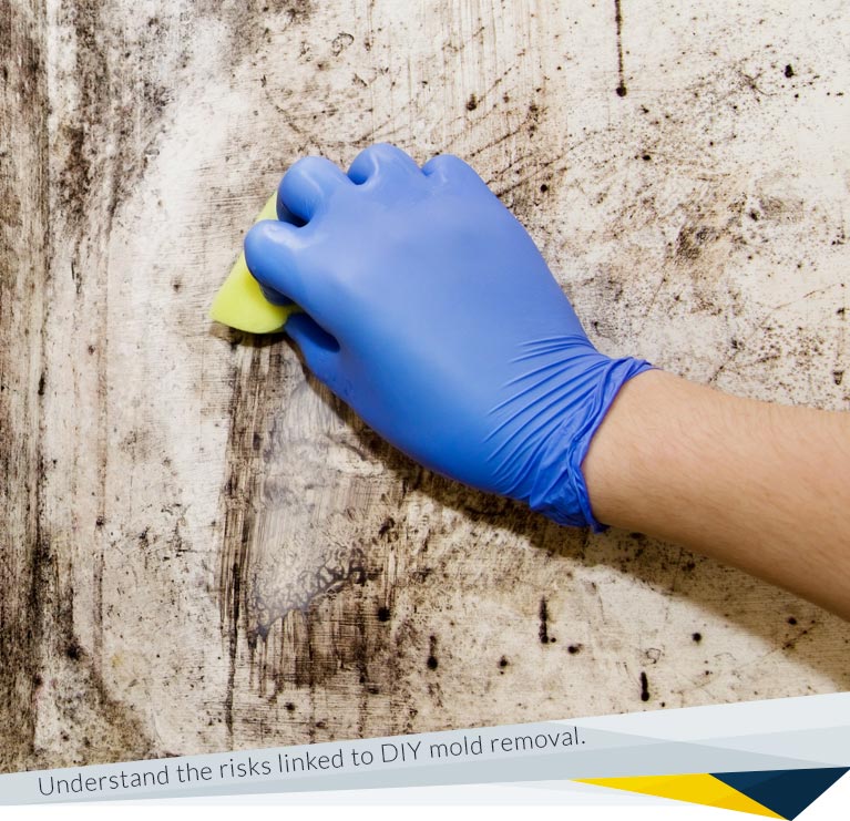 diy mold clean up